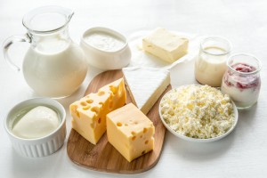 queso yogurt leche cultivos lácticos